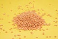 Red lentils pile isolated. raw daal, dhal, masoor, Lens culinaris or Lens esculenta on yellow background. Royalty Free Stock Photo