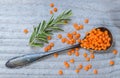 Red lentils and rosemary on a spoon macro Royalty Free Stock Photo