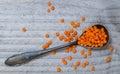 Red lentils on a spoon macro Royalty Free Stock Photo