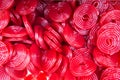 Red Licorice wheels candies Royalty Free Stock Photo