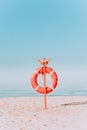 red lifebuoy on a sandy beach in pastel colors. Red lifebuoy on the sandy shore of the beach on a sunny day. Royalty Free Stock Photo