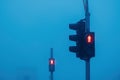 Red light on pedestrian traffic light signalization in foggy winter morning Royalty Free Stock Photo