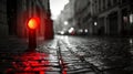 Red light on wet cobblestone street at dusk Royalty Free Stock Photo