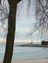 Lighthouse Beacon Before Dusk Framed By Tree