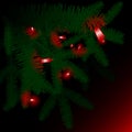 Red lights in green pine boughs Royalty Free Stock Photo