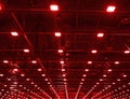 Red Lights and ventilation system in long line on ceiling of the dark office industrial building, exhibition Hall Ceiling construc Royalty Free Stock Photo