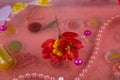 Red lily alstroemeria flower in pink water. Beads, stones, jewelry underwater. Top view, selective focus Royalty Free Stock Photo