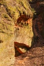 Red limestone rock with a steep edge. Natural ecosystem in national park of Gauja, Latvia Royalty Free Stock Photo