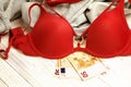 Red lingerie, jeans and money scattered on the floor. Love for money, prostitution concept Royalty Free Stock Photo