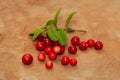 Red lingonberry, foxberry or cowberry on wooden background