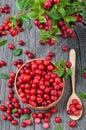 Red lingonberry in wooden bowl