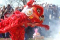 A red lion on Chinese New Year