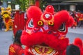the red lion dance close up view near the crowd