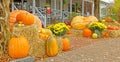 Red Lion Inn decorated with pumpkins, gourds, hay bales, Chrysanthemums in Fall Royalty Free Stock Photo