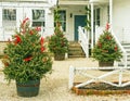 Red Lion Inn rear entrance with three Christmas trees Royalty Free Stock Photo