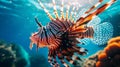 Red Lionfish close-up in beautiful blue ocean and coral reefs