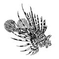 The red lionfish or pterois volitans drawn by black ink.