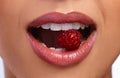 Red lips to match his red flags. an unrecognizable womans perfect teeth biting on a raspberry. Royalty Free Stock Photo