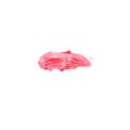 Red liquid lipstick smeared swatch. Lip gloss smudge sample Royalty Free Stock Photo