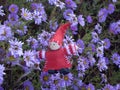 Red little gnome on a background of flowers