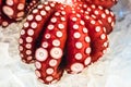 Red live octopus at Tsukiji fish market, Tokyo, Japan Royalty Free Stock Photo