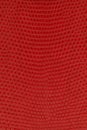red lizard skin. reptile leather texture background Royalty Free Stock Photo