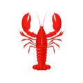 Red lobster, cancer. Product, for restaurant, fresh seafood for cooking.