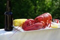 Red Lobster, Corn, and Beer