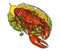 Red lobster with lemon and vegetable on white background. Royalty Free Stock Photo