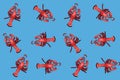 Red lobster pattern on blue background. Minimal food poster