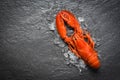 Red lobster seafood with ice on dark backgroud top view Royalty Free Stock Photo