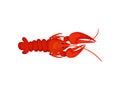 Red lobster on white background. Crayfish concept.