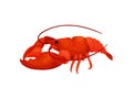 Red lobster on white background. Vector illustration. Royalty Free Stock Photo