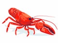 A Red Lobster With A White Background