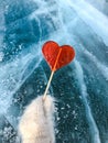 Red lollipop in the shape of a heart holds a hand in a mitten ag