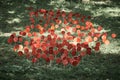 Red lollipops on stick against green grass, outdoor land art objects for environmental concept