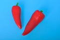 Red long pepper Royalty Free Stock Photo