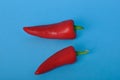 red long pepper on blue bacground Royalty Free Stock Photo