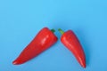 red long pepper on blue bacground Royalty Free Stock Photo