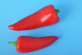 red long pepper on blue bacground Royalty Free Stock Photo