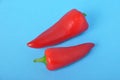 Red long pepper on blue background Royalty Free Stock Photo