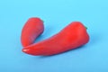 red long pepper on blue bacground Royalty Free Stock Photo