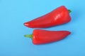red long pepper on blue bacground Royalty Free Stock Photo