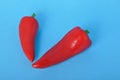 red long pepper on blue bacground Royalty Free Stock Photo