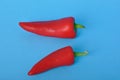 red long pepper on blue bacground Royalty Free Stock Photo