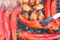 Grilled red pepper with chicken