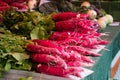Red Long Radish Close Up Royalty Free Stock Photo