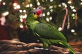 Red Lored Amazon Parrot Royalty Free Stock Photo