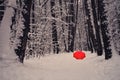 A red lost umbrella lies on the road among the trees in a snowy forest. The concept of loss, problems and faith