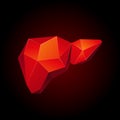 Red low poly human liver on a black background. Abstract anatomy organ. Liver 3D polygon style.